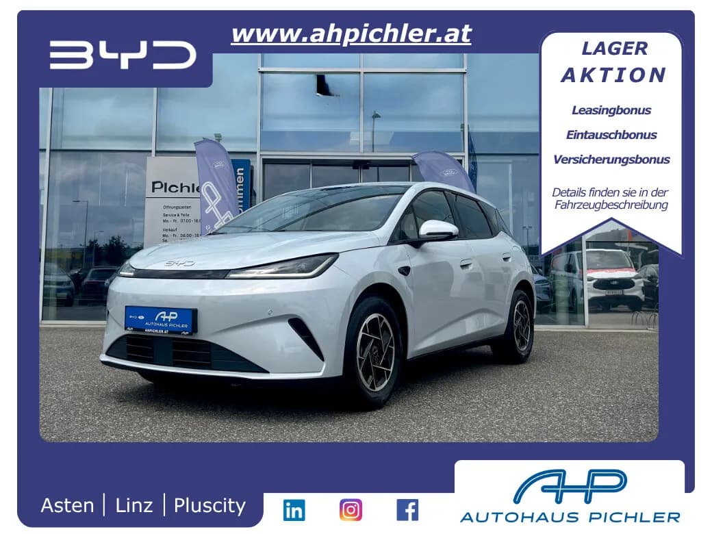 BYD Dolphin G
