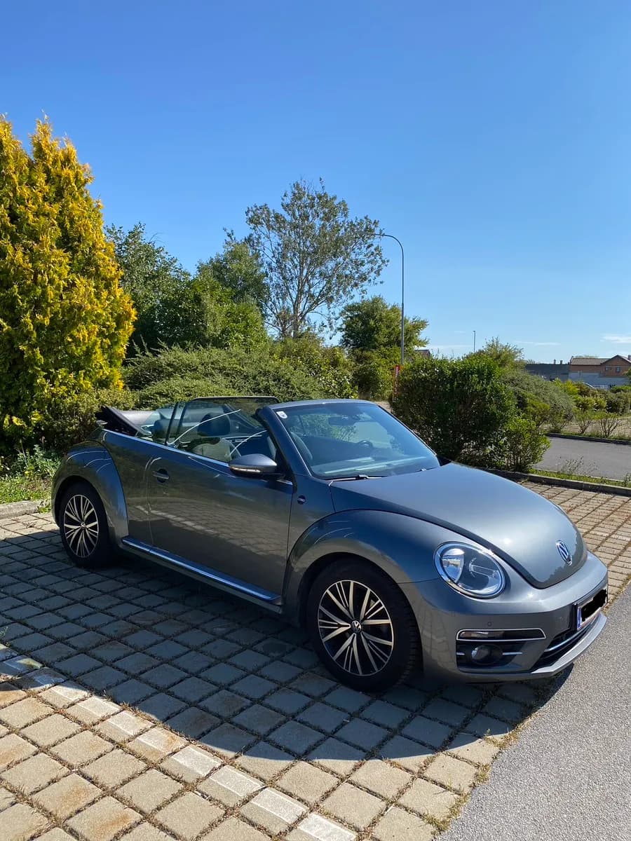 VW Beetle