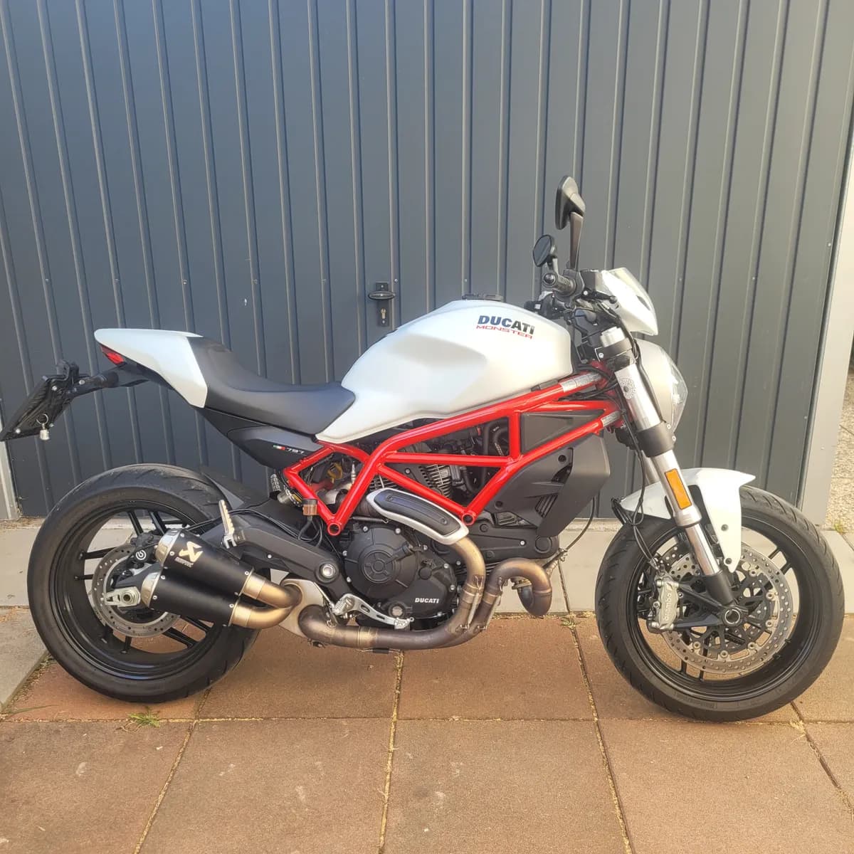 Ducati Monster