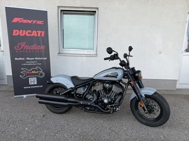 Indian Chief