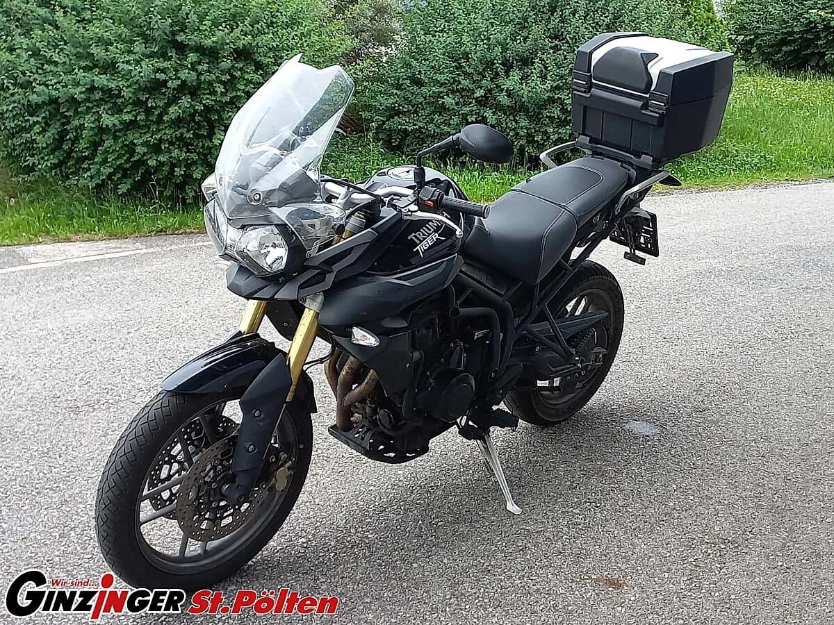 Triumph Tiger