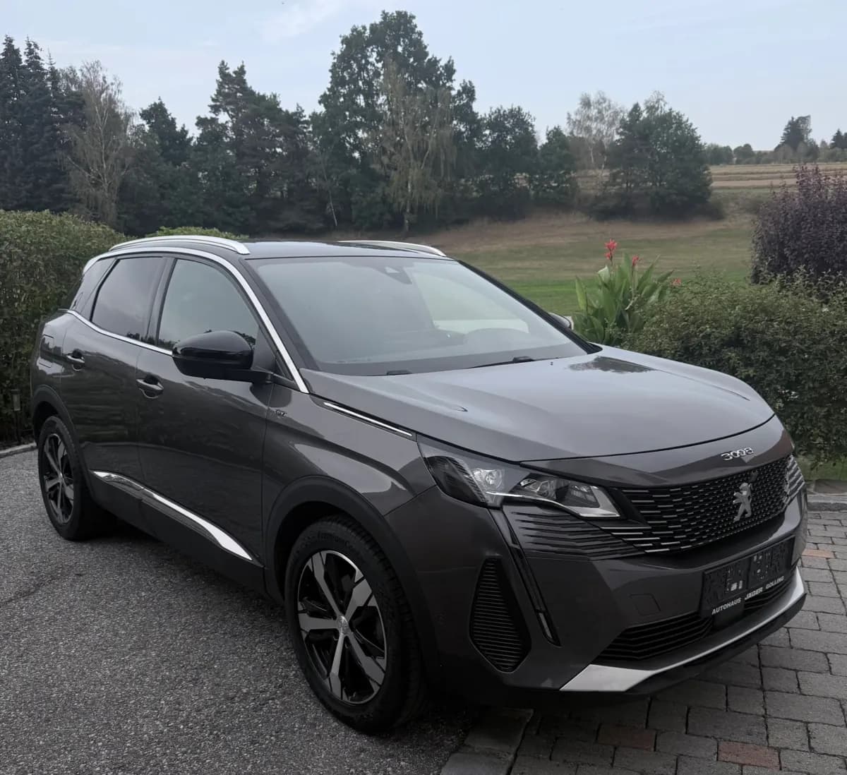 Peugeot 3008
