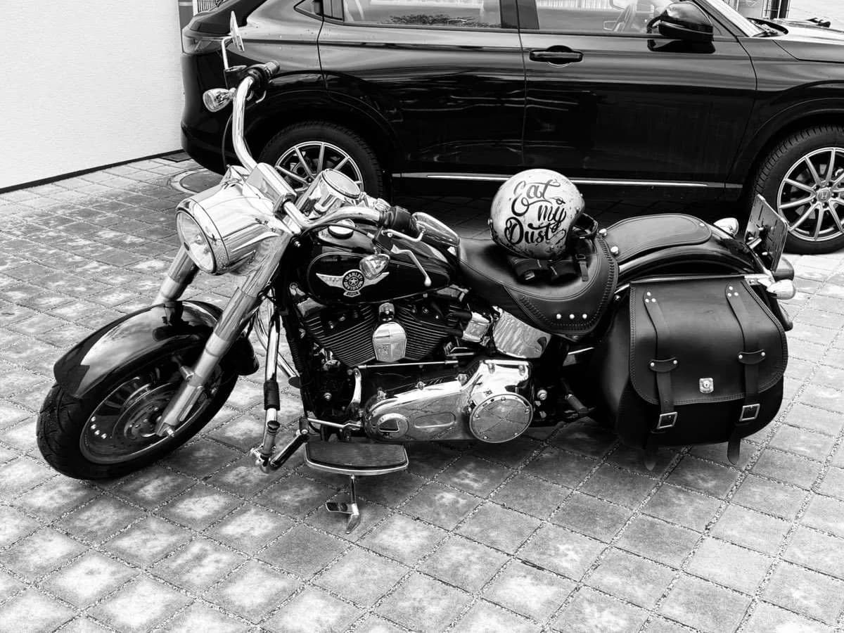 Harley-Davidson Softail