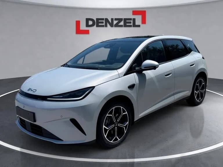 BYD Dolphin G