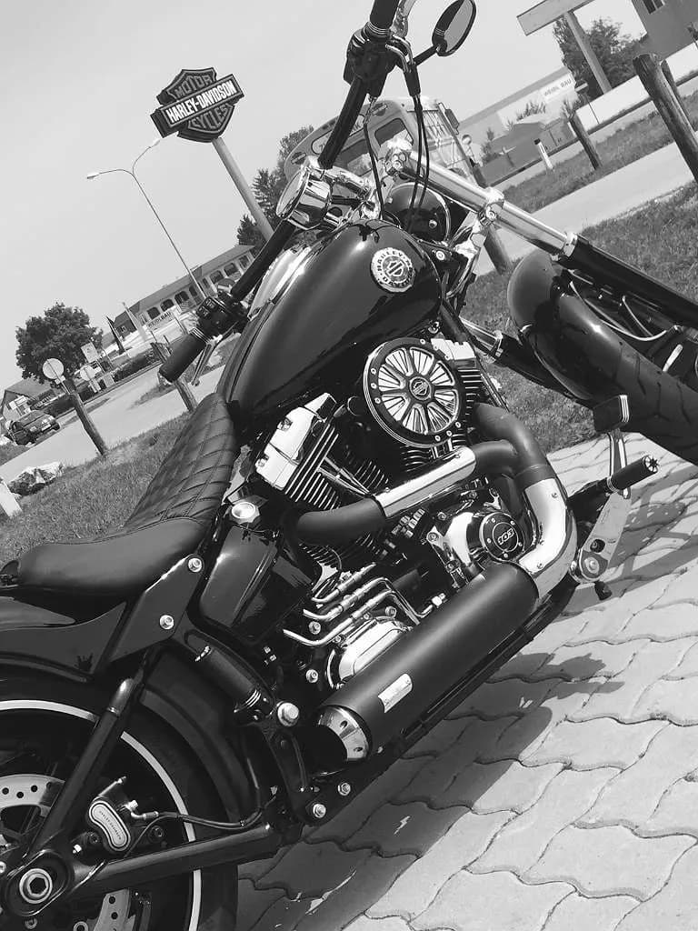Harley-Davidson Softail