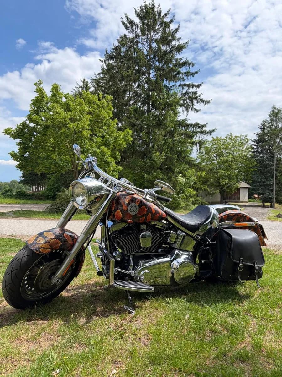 Harley-Davidson Sonstige