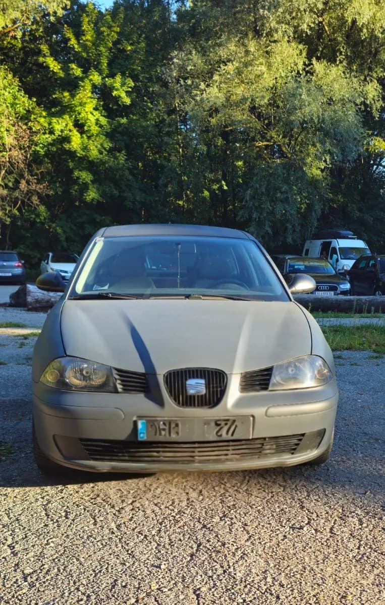 Seat Ibiza
