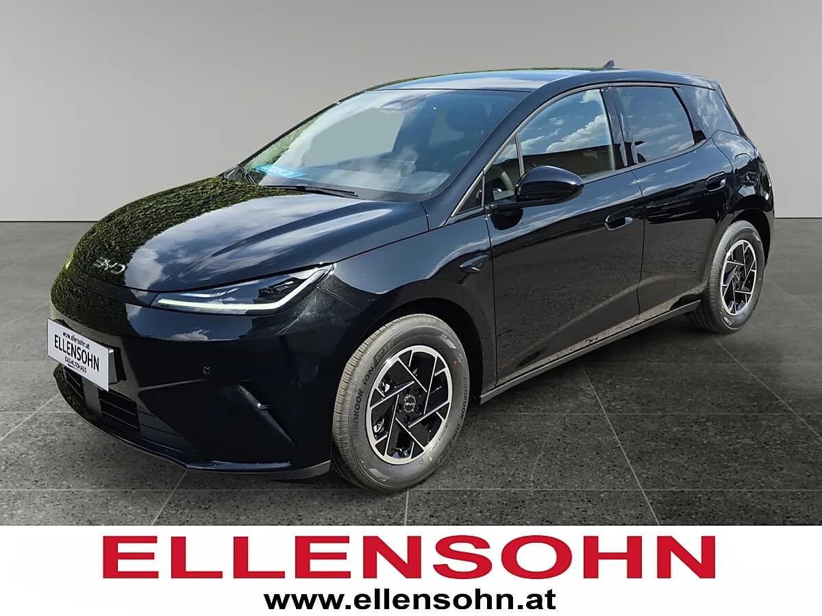 BYD Dolphin G