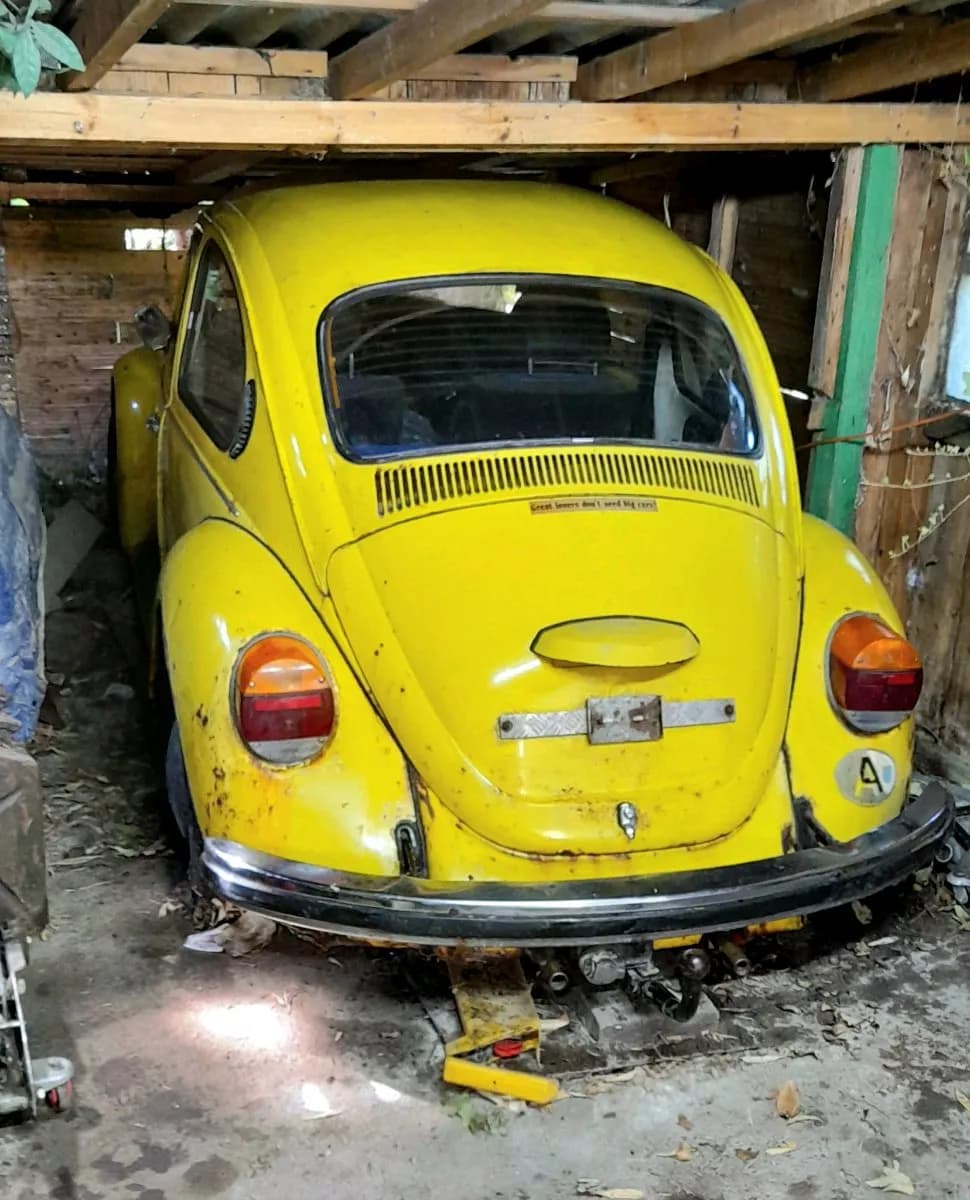 VW Käfer