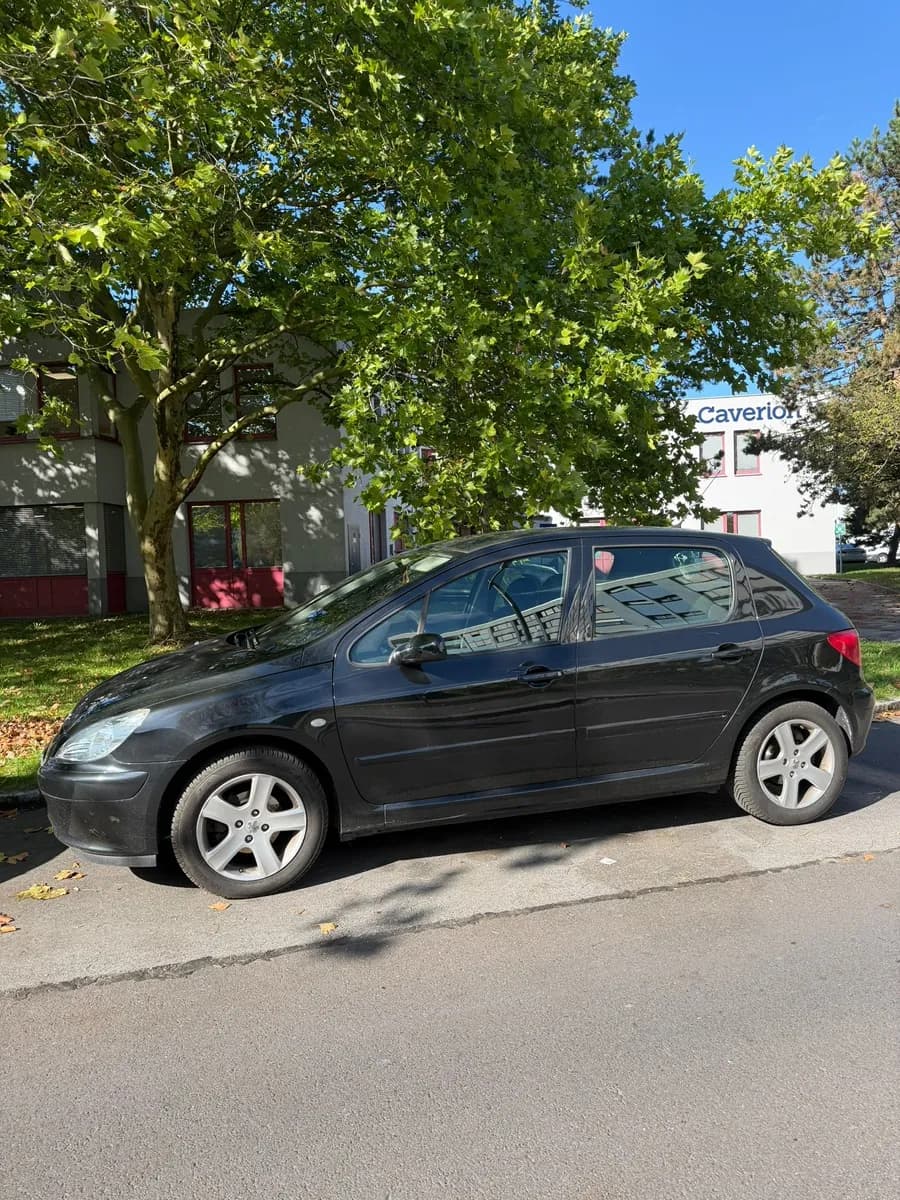 Peugeot 307